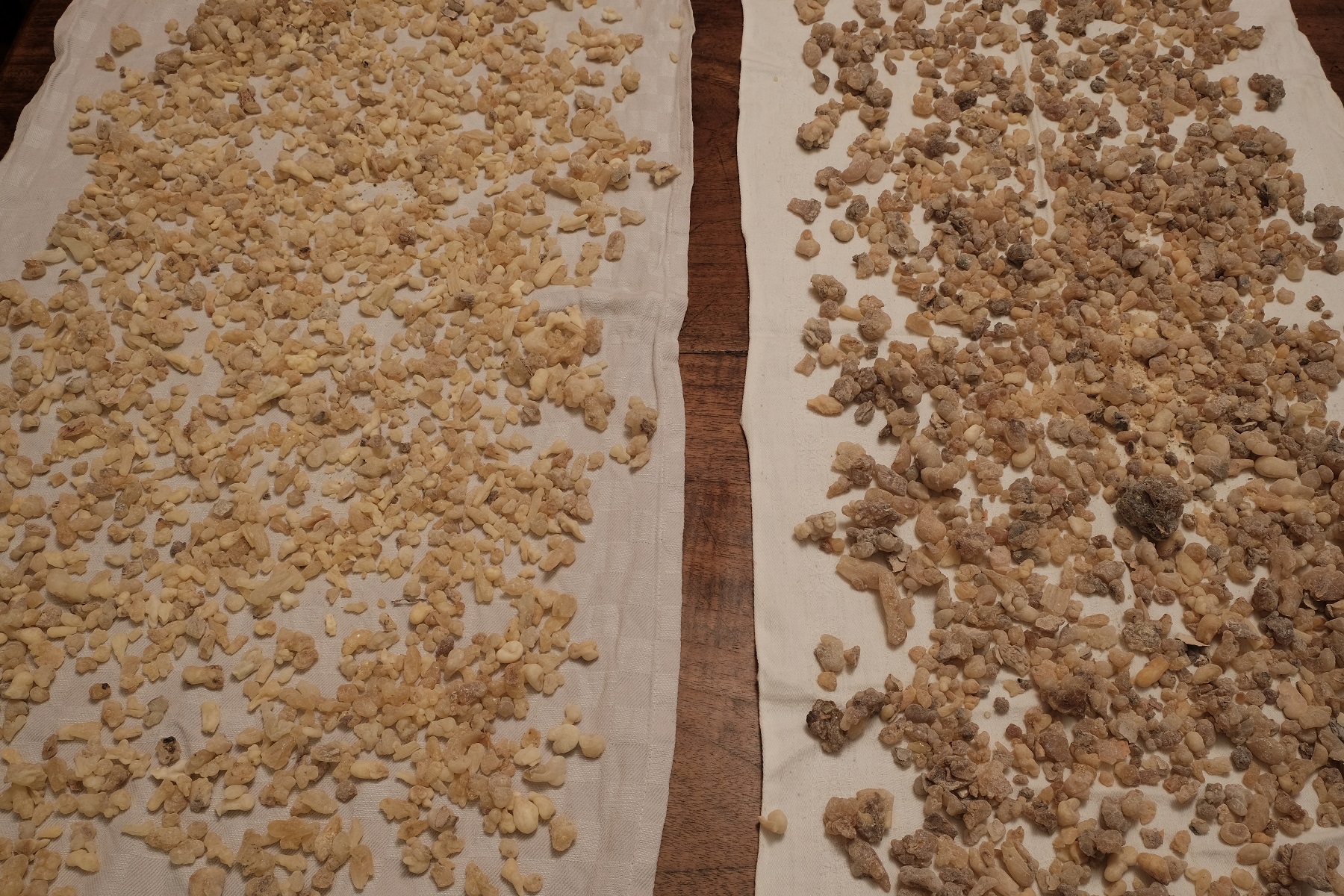 Weihrauch Oman und Somalia.jpg